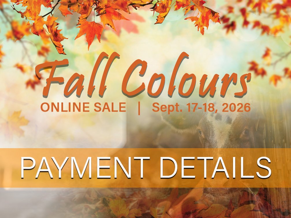 PAYMENT DETAILS