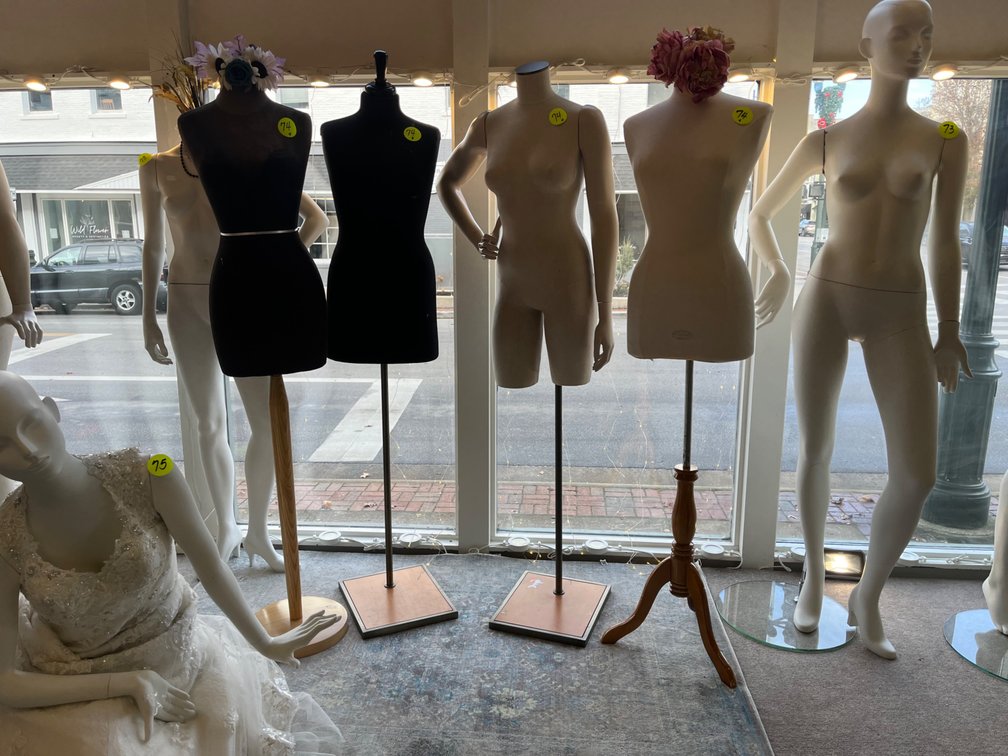 Female Torsos