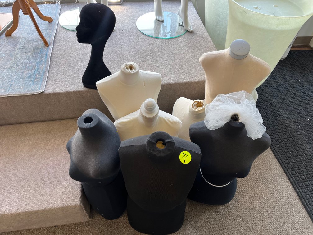Female Torsos