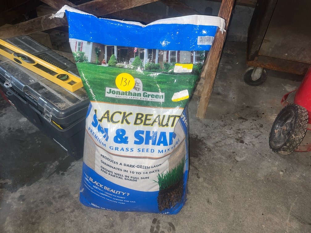 Grass Seed