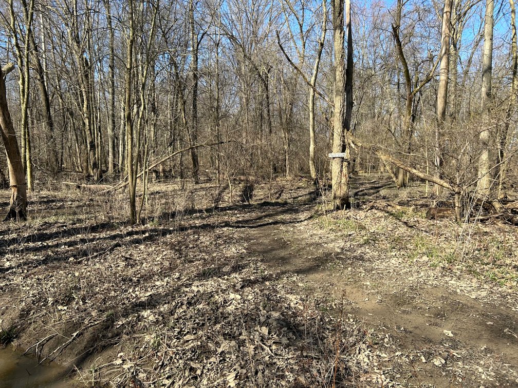 Image for 42 Wooded Acres with Cabin