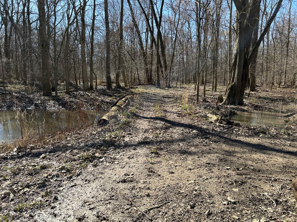 Image for 42 Wooded Acres with Cabin