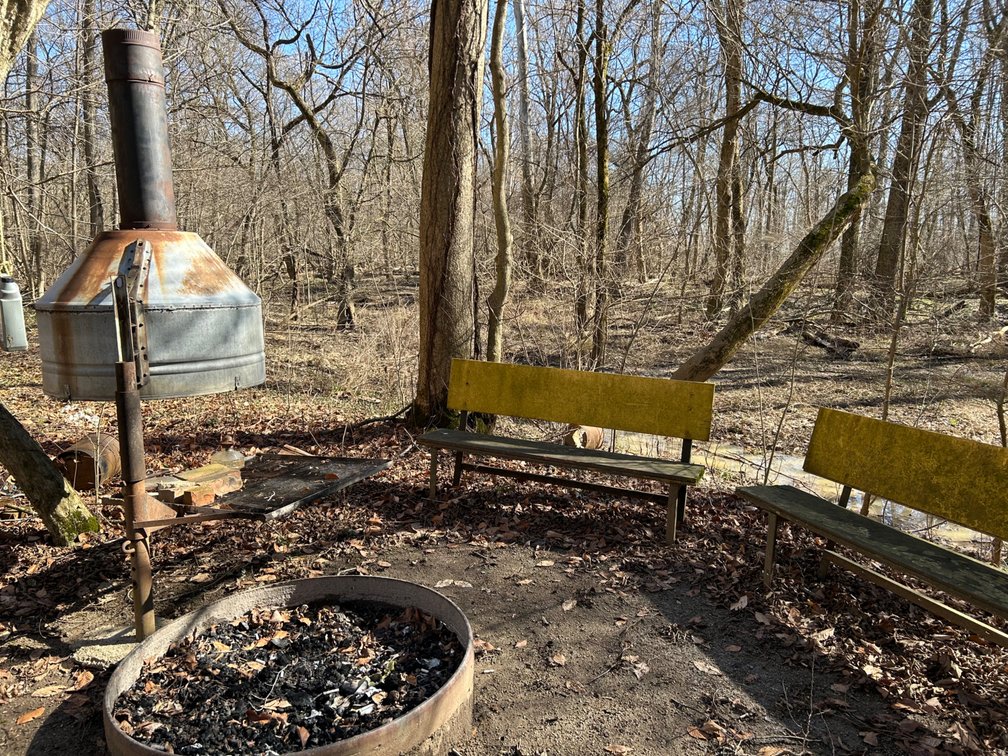 Image for 42 Wooded Acres with Cabin