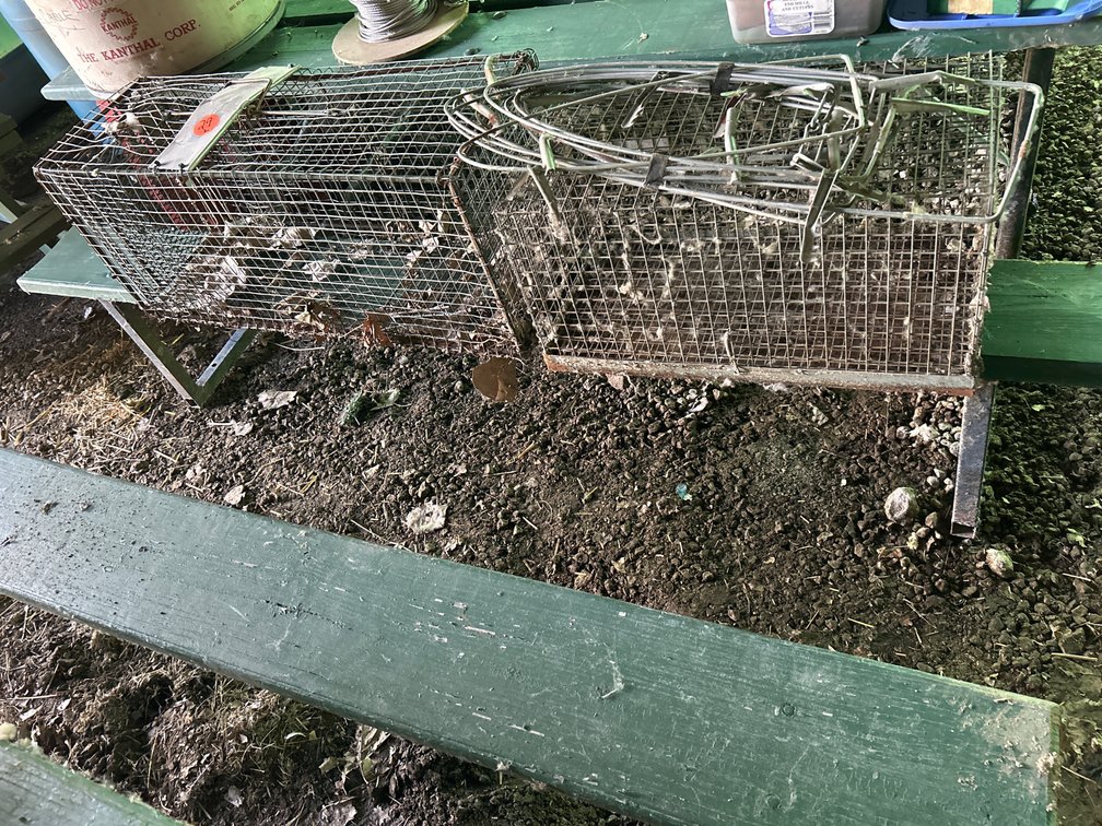 Cages/Traps and Pelt Stretchers