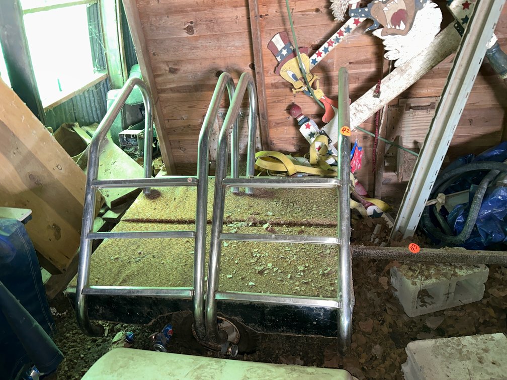 Pool Ladders