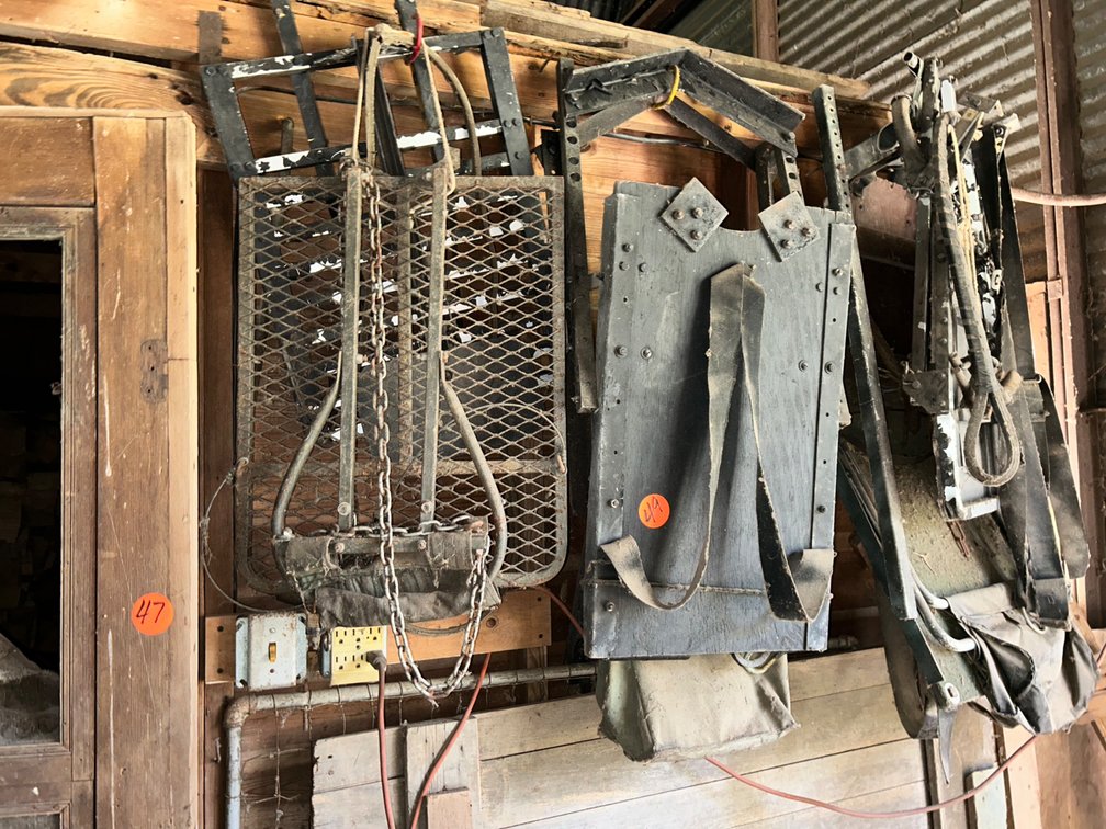 Tree Stands