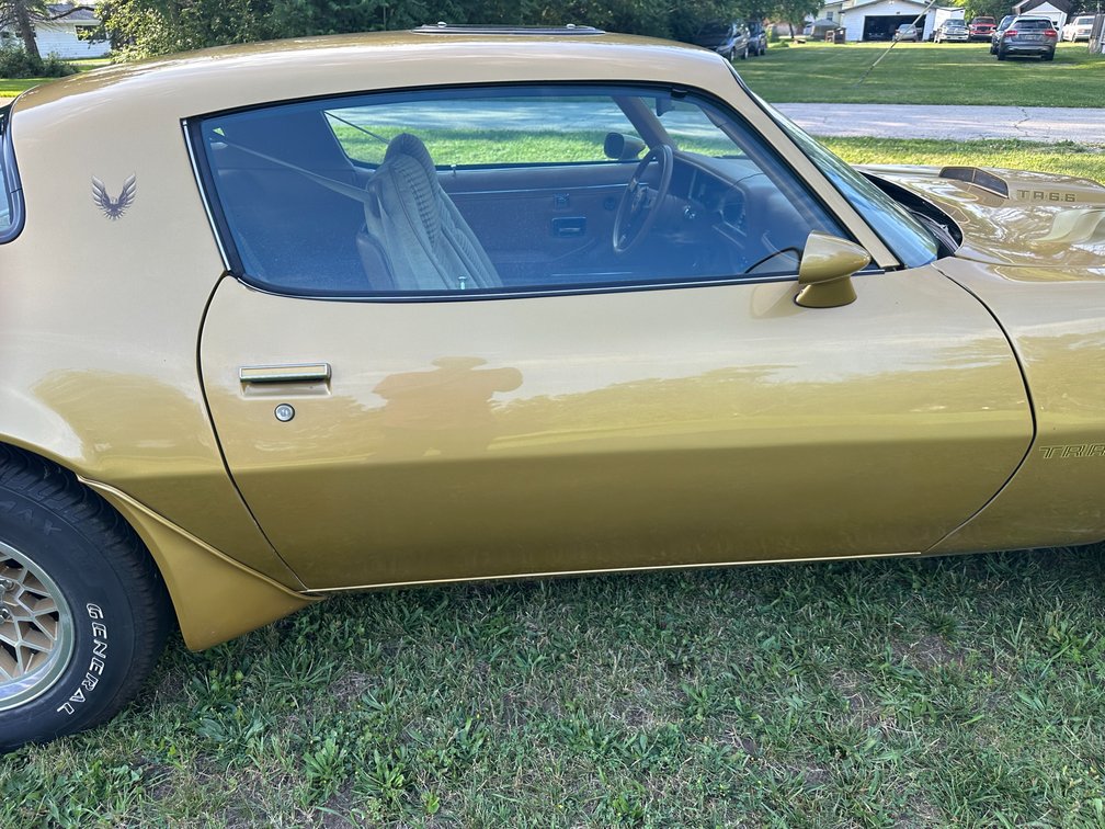 Image for 1979 PONTIAC FIREBIRD TRANS AM