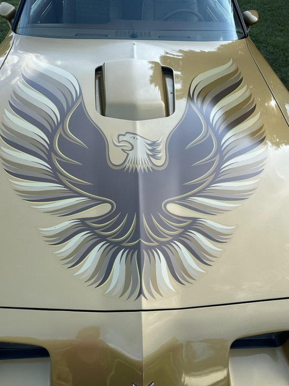 Image for 1979 PONTIAC FIREBIRD TRANS AM