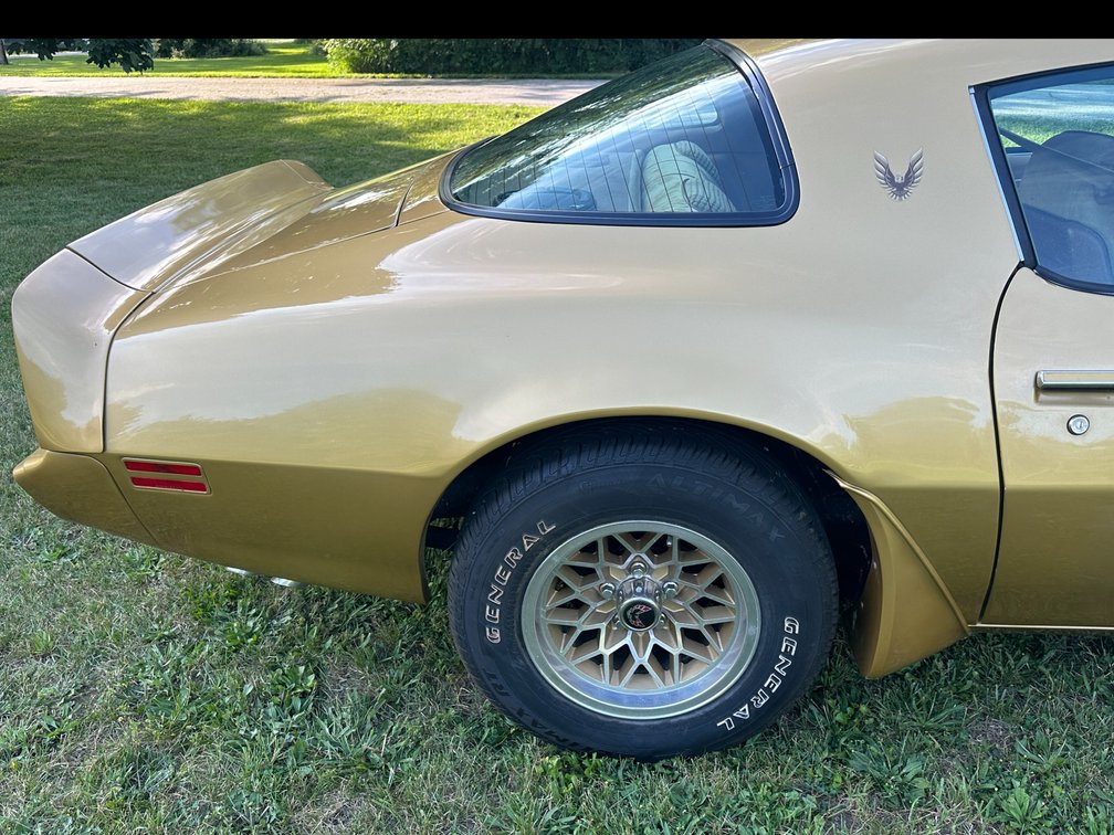 Image for 1979 PONTIAC FIREBIRD TRANS AM