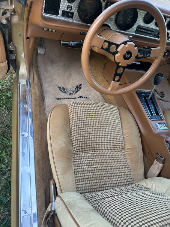 Image for 1979 PONTIAC FIREBIRD TRANS AM