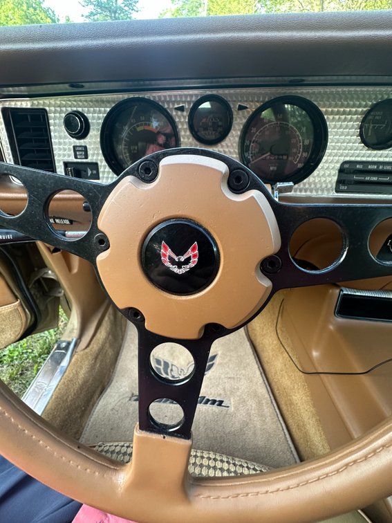 Image for 1979 PONTIAC FIREBIRD TRANS AM