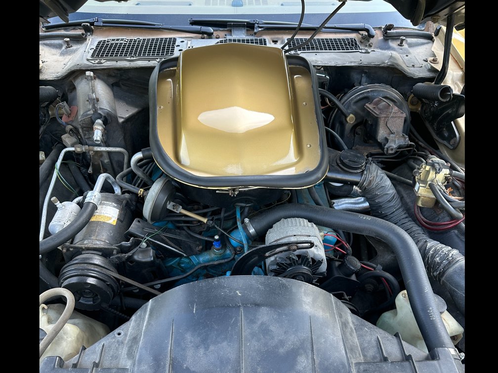 Image for 1979 PONTIAC FIREBIRD TRANS AM