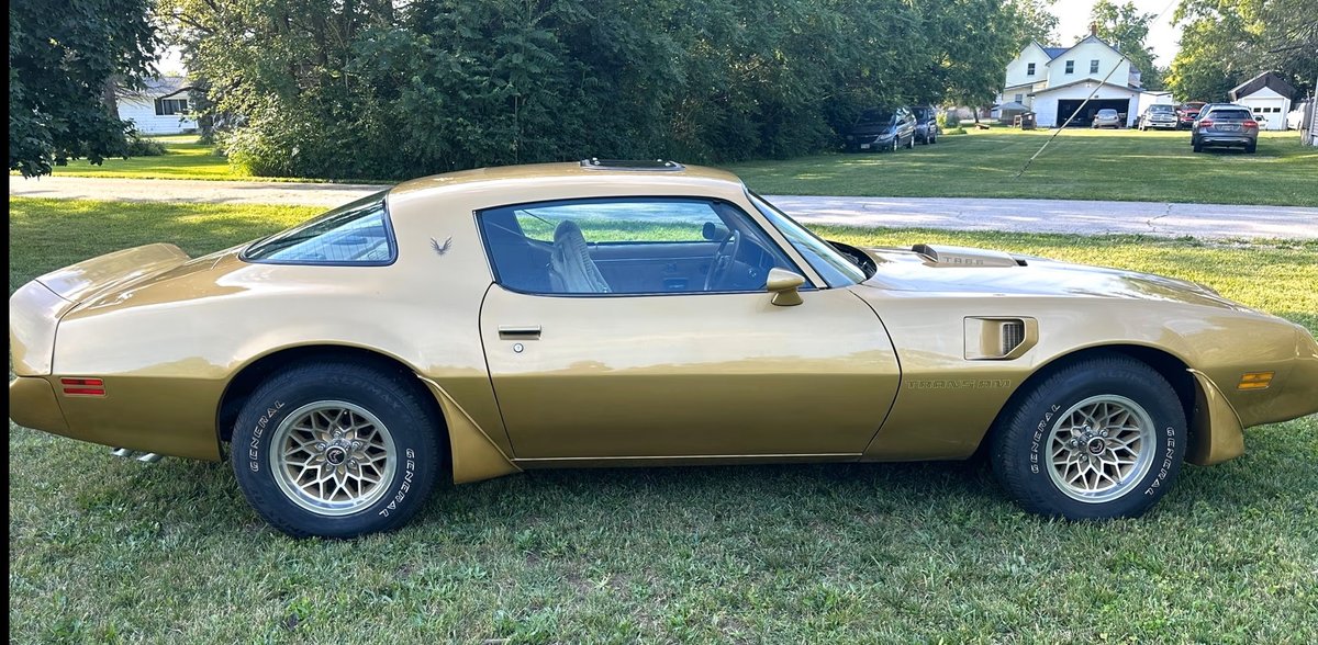 Image for 1979 PONTIAC FIREBIRD TRANS AM
