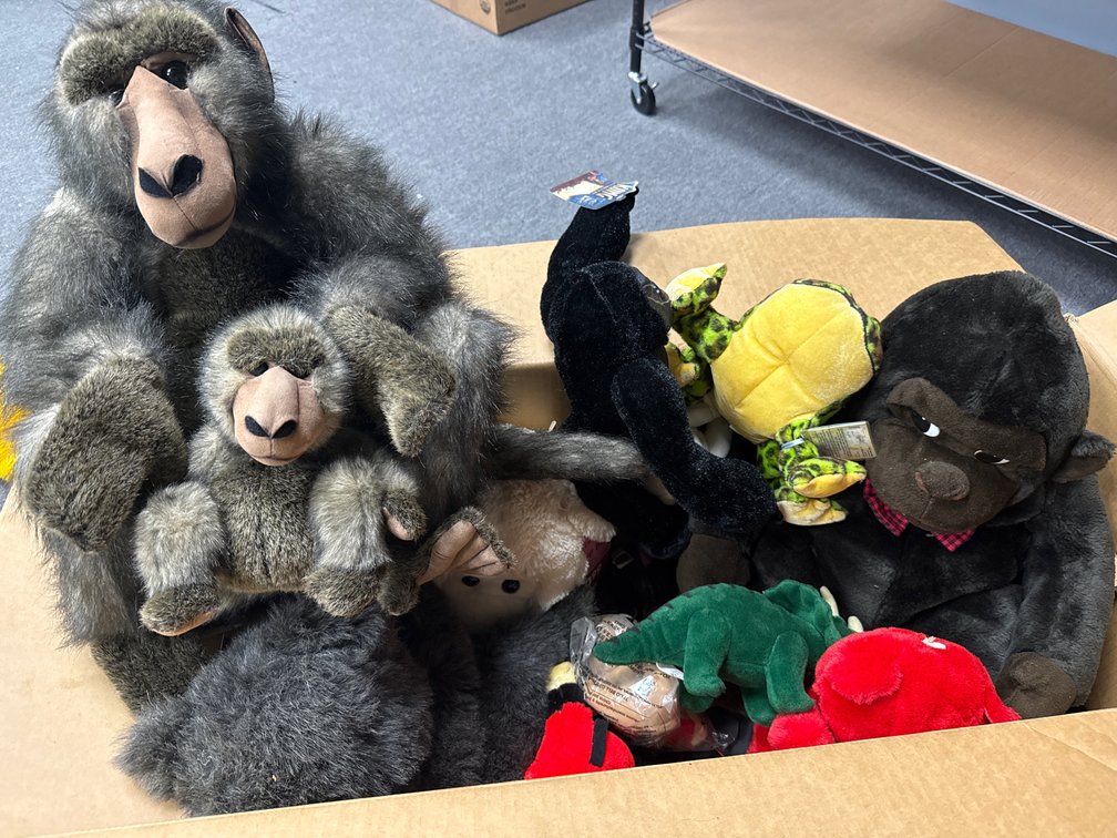 Collection of Assorted Collectible Plush Toys