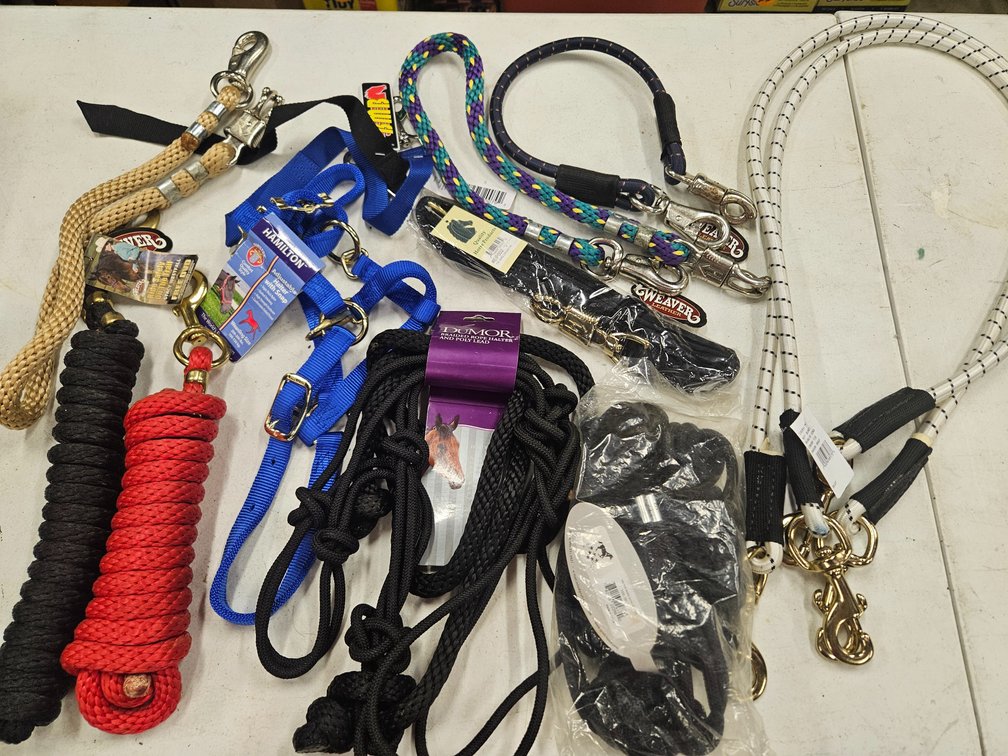 Assorted Equestrian Halters, Leads & Tack (10)