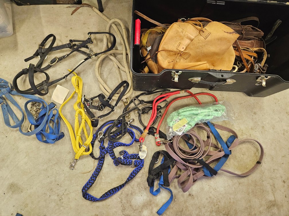 Assorted Equestrian Tack and Contico Trunk
