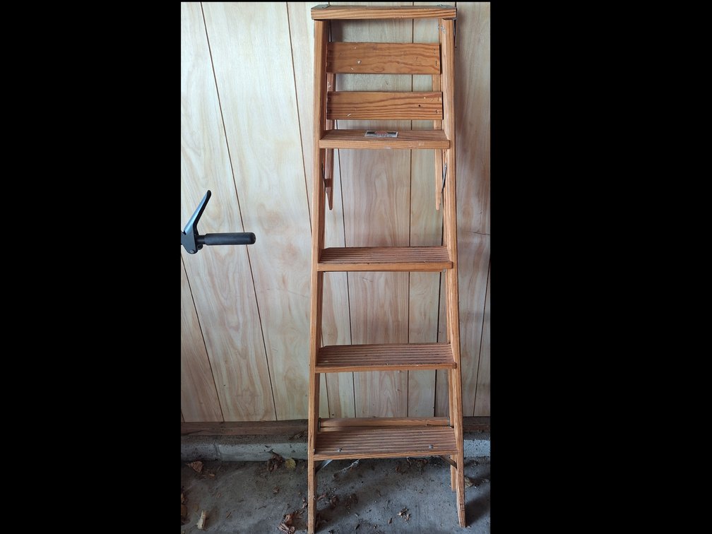 Davidson 5-Foot Wooden Stepladder