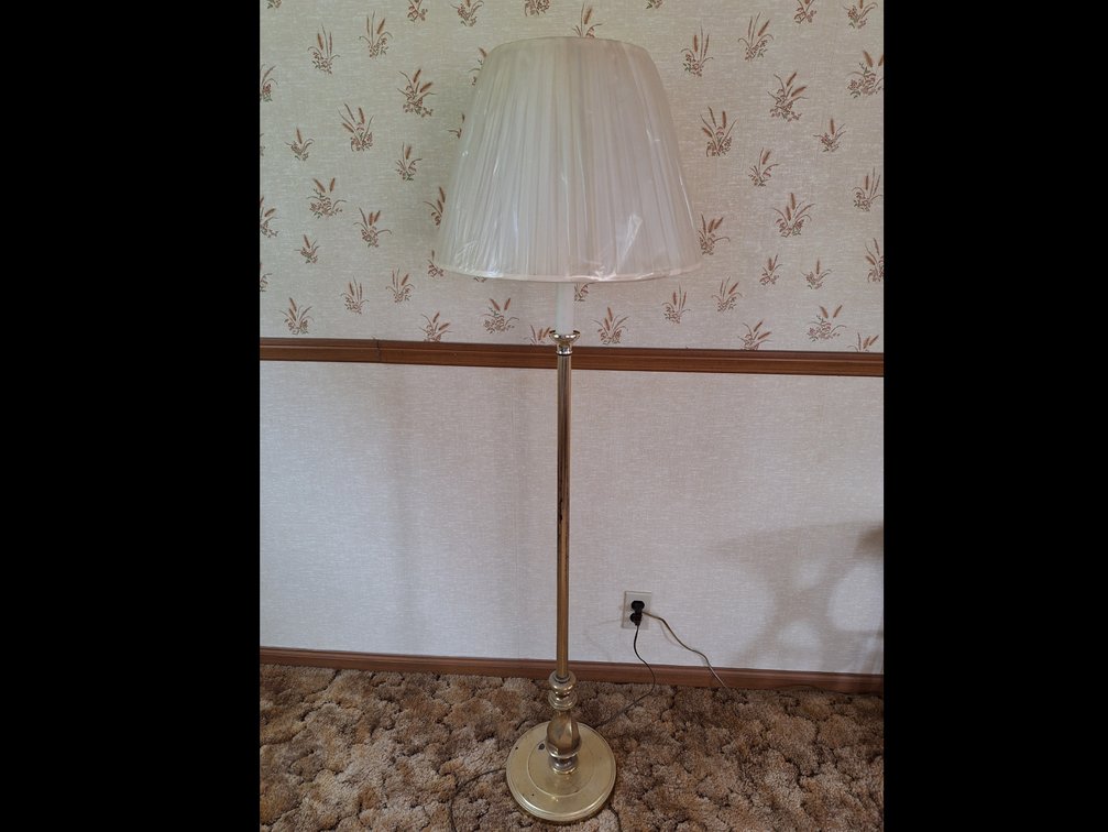 Brass-Finished Floor Lamp with Pleated Shade