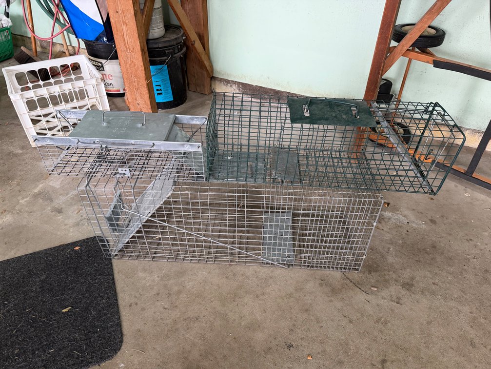 Wire Mesh Live Animal Cage Traps