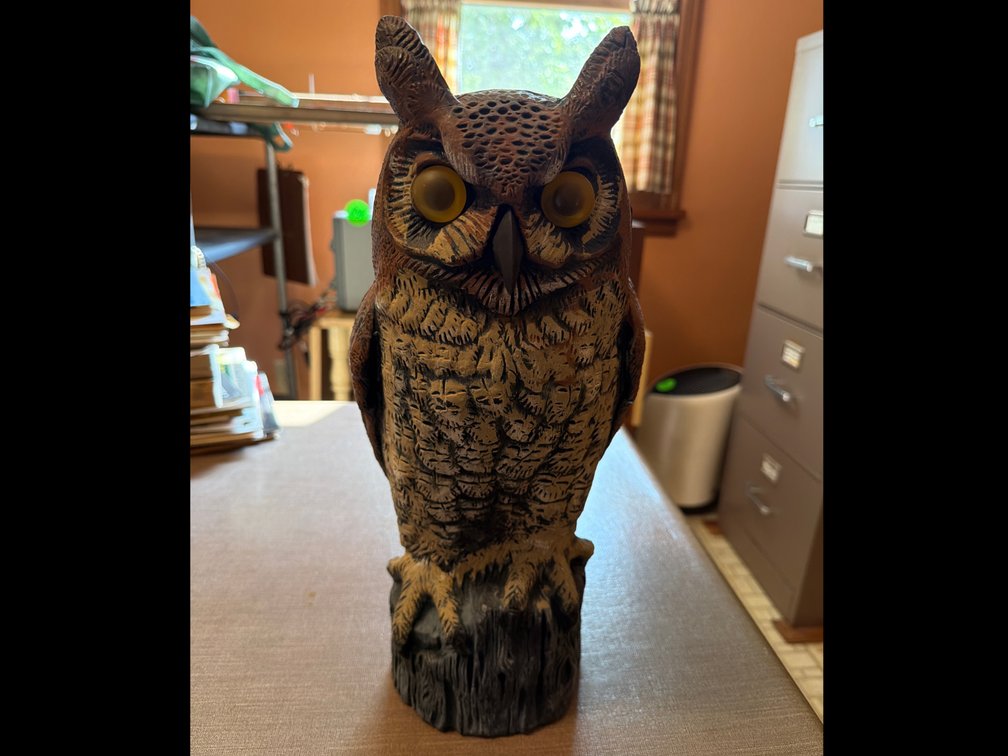Dalen Products Molded Plastic Great Horned Owl Decoy