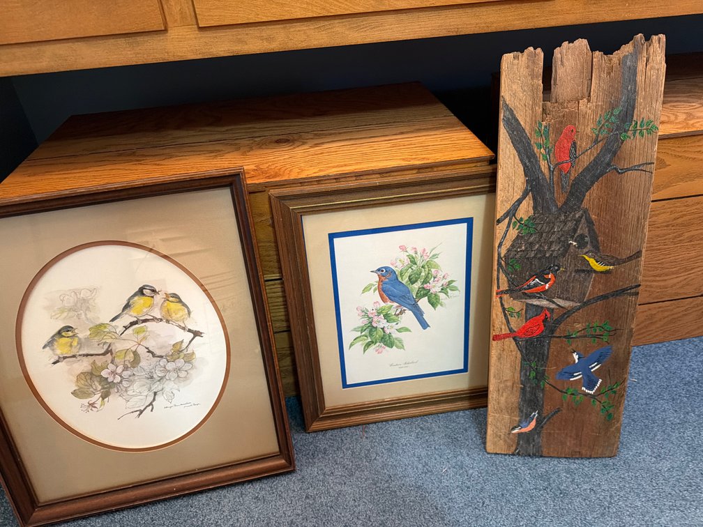 Framed Bird Art Prints, Painted Wood Plank, and Ceramic Plate