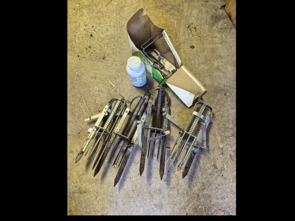 Plunger-Style and Choker Loop Mole Traps