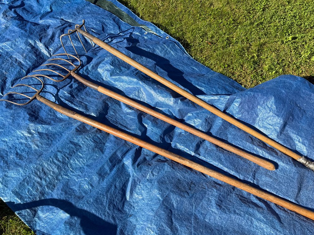 Pitchforks and Manure Hook with Wooden Handles