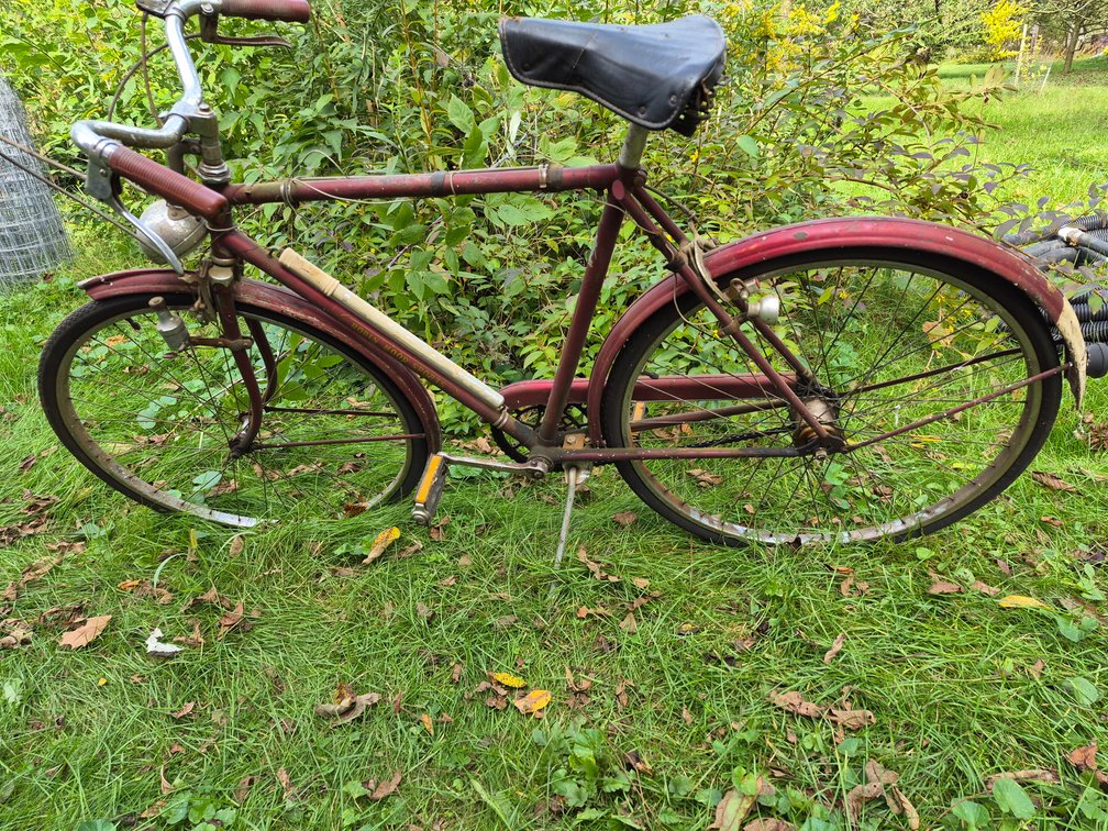 Robin Hood Sports 3-Speed Diamond-Frame Bicycle