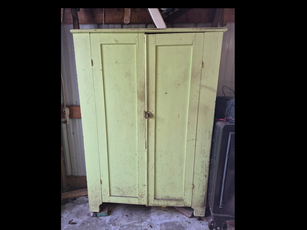 Painted two door Vintage Cabinet