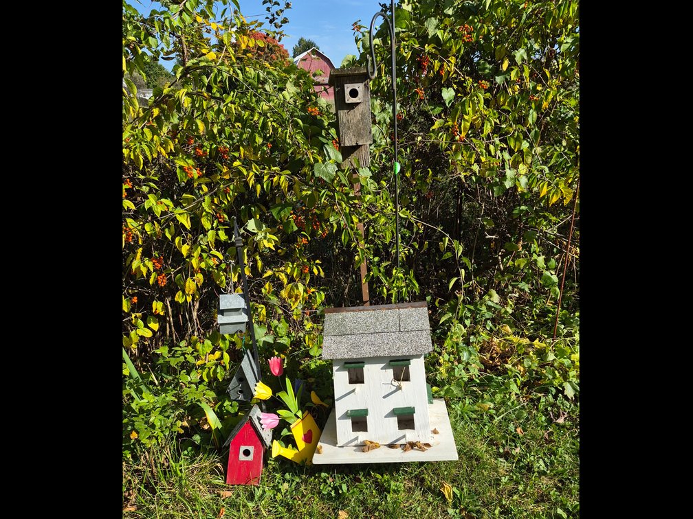 Birdhouses, Shepherd's Hooks, and Garden Stakes