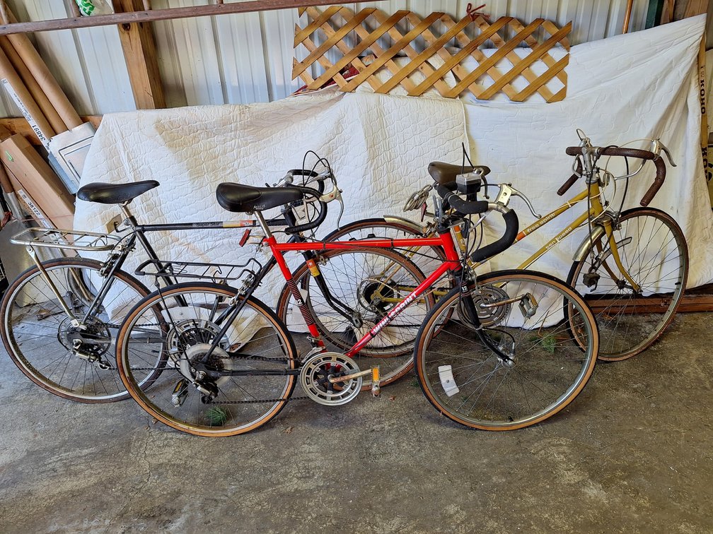 Three Multi-Speed Road Bicycles