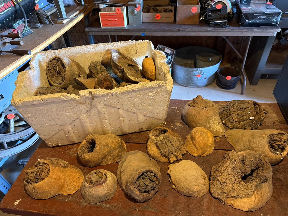Natural Tree Burls, Burl Caps, and Wood Specimens