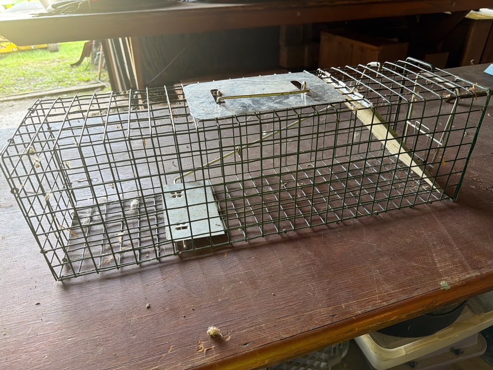 Green Coated Wire Mesh Live Animal Trap