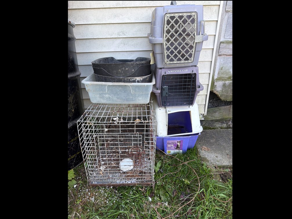 Pet Carriers, Wire Animal Cage, and Pet Supplies