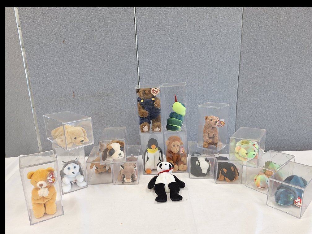 Ty Beanie Babies with Display Cases
