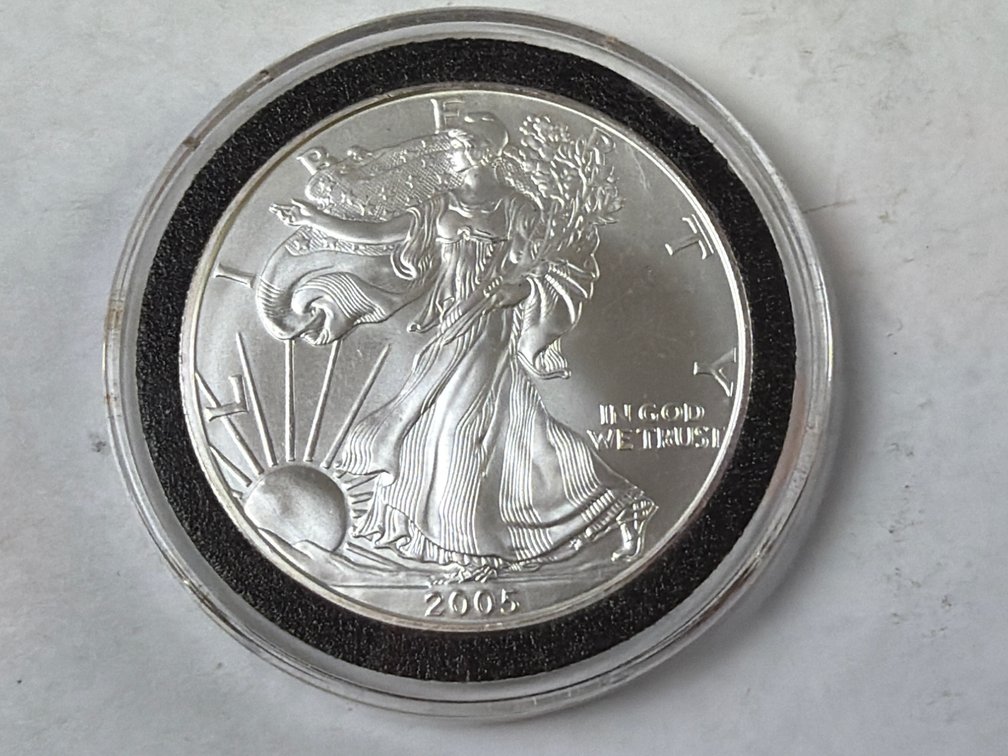 2005 AMERICAN SILVER EAGLE DOLLAR