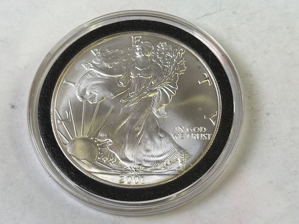 2001 AMERICAN SILVER EAGLE DOLLAR