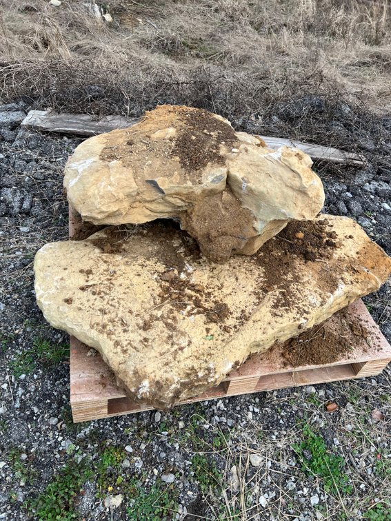 (2) LARGE LANDSCAPE ROCKS