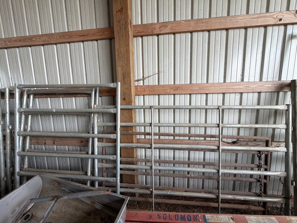(3) HD BULL PANELS