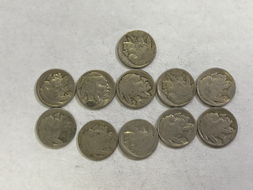 LOT OF BUFFALO NICKELS