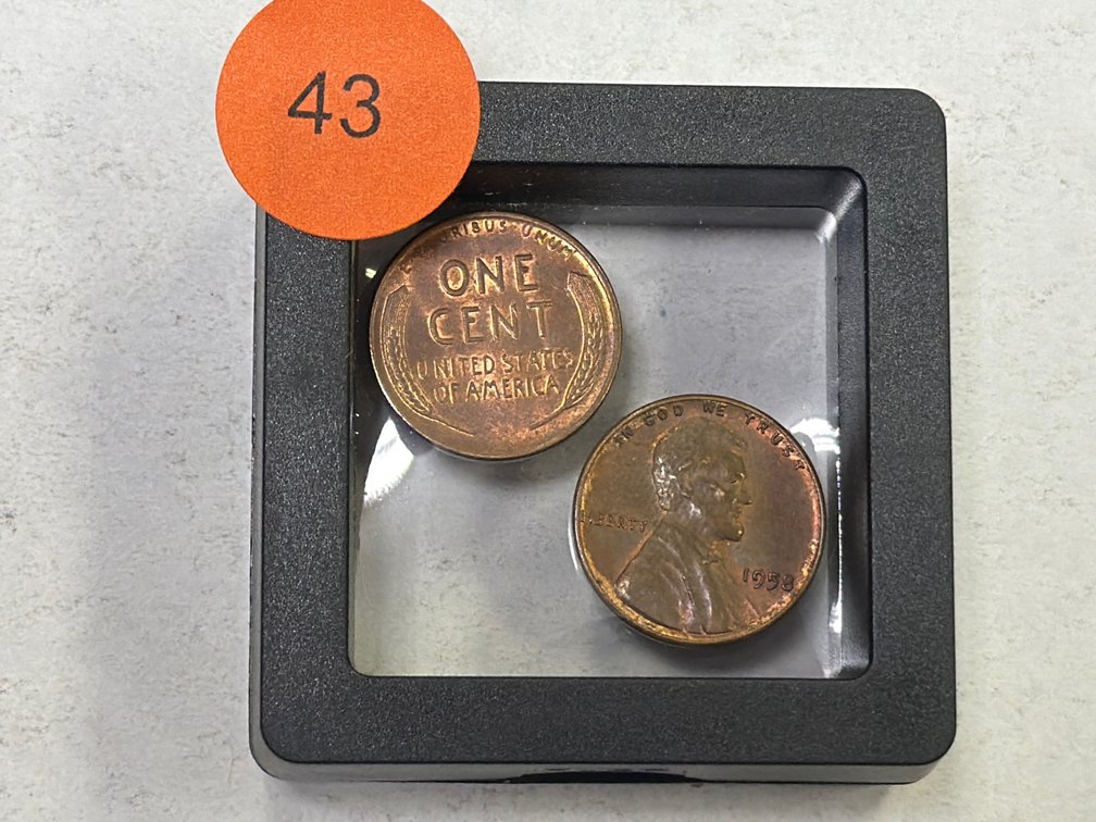 (2) WHEAT PENNIES