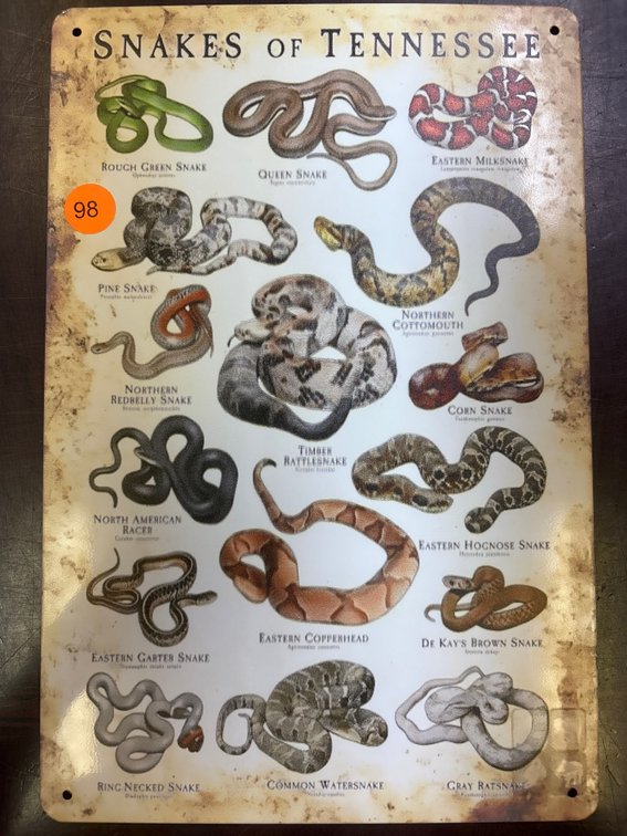 SNAKES OF TENNESSEE SIGN