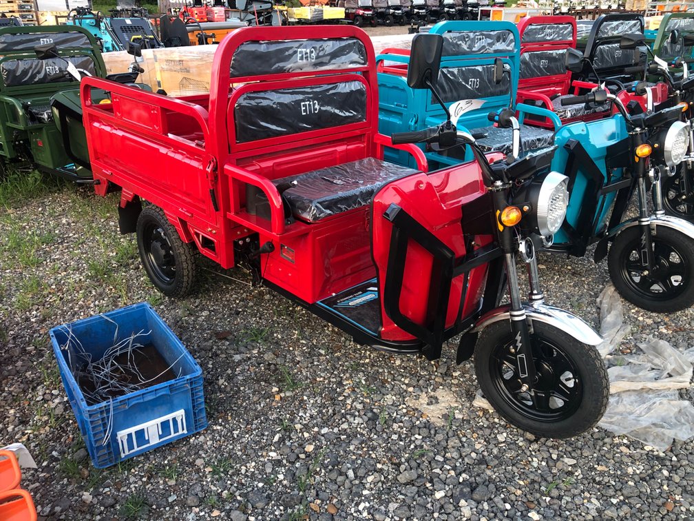 ELECTRIC TRICYCLE CART W DUMP BED