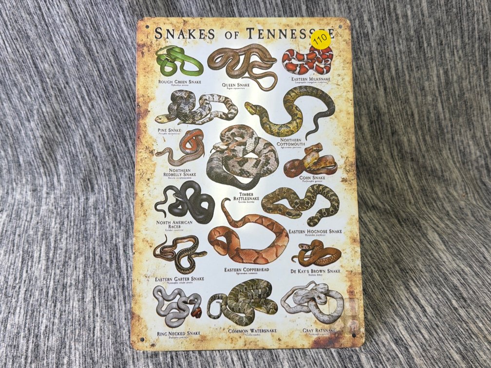 SNAKE SIGN