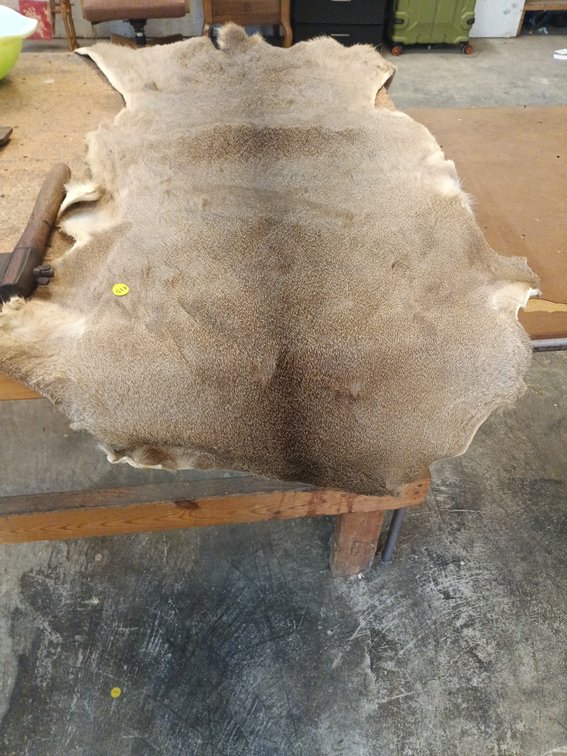 DEER HIDE
