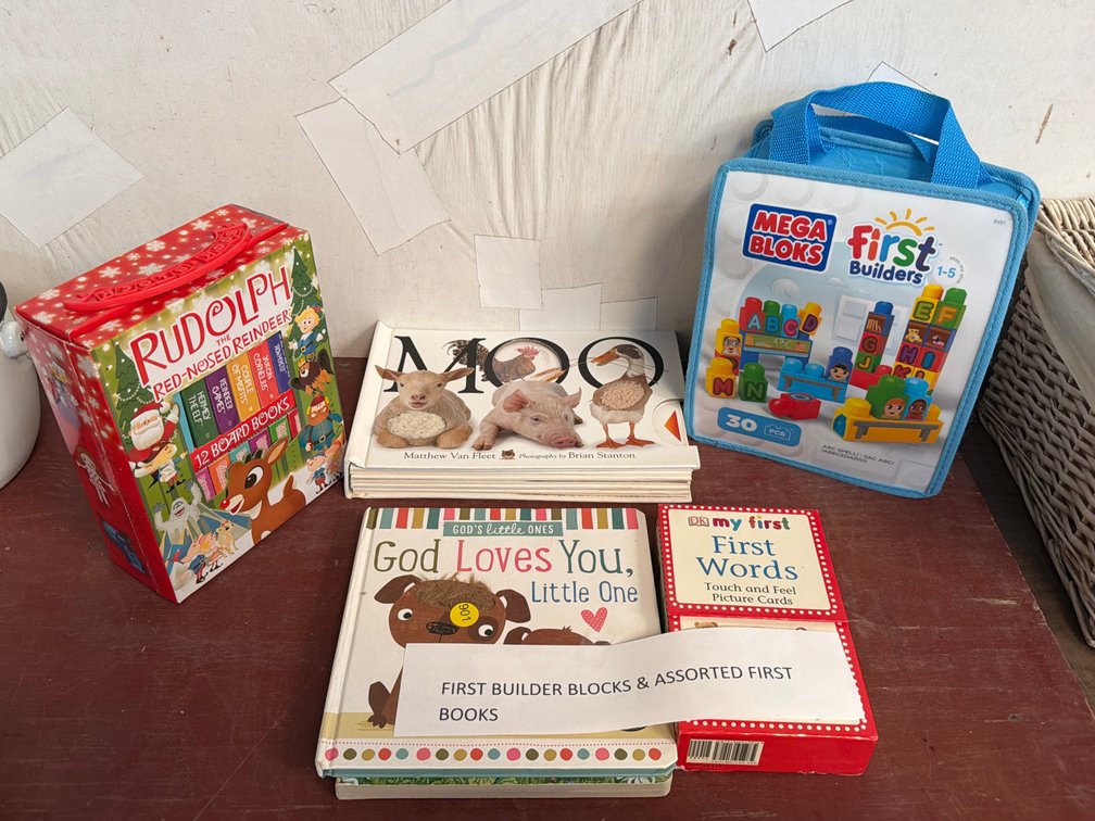 FORST BUILDER BLOCKS & ASSORTED FIRST BOOKS