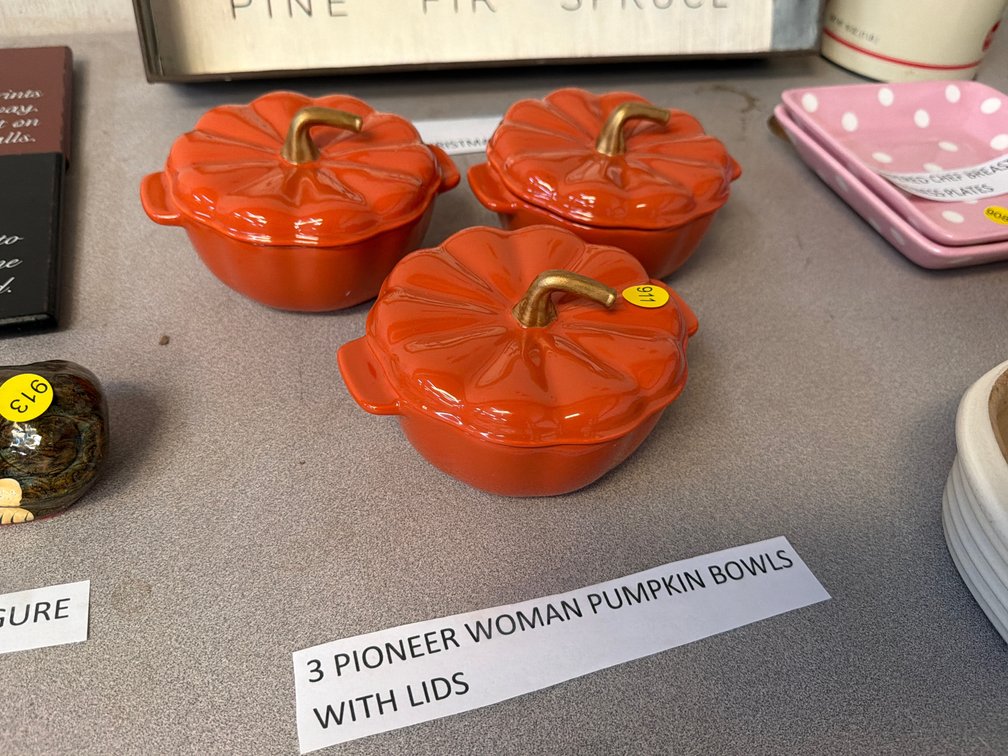 (3) PIONEER WOMAN PUMPKIN BOWLS W/ LIDS