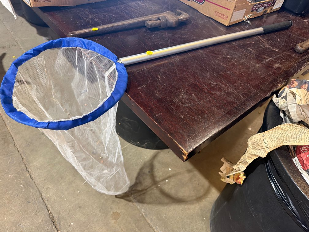 BUG CATCHING NET