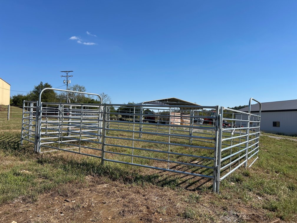 UNUSED HD GALVANIZED CATTLE HANDLING SYSTEM