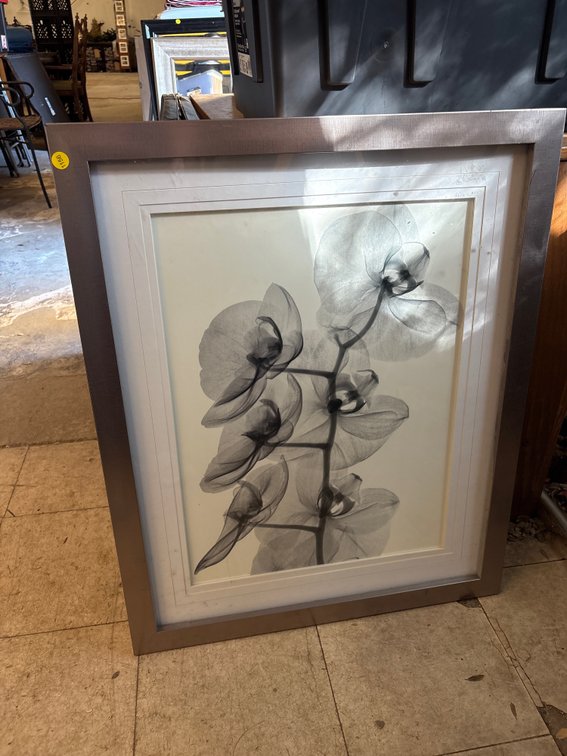 ORCHID FRAMED PRINT